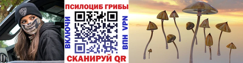 Псилоцибиновые грибы прущие грибы  Купить где  Городовиковск 