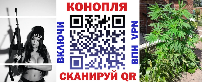 Шишки марихуана марихуана  Купить  Городовиковск 